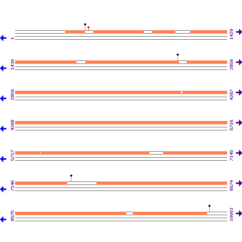 Genome View