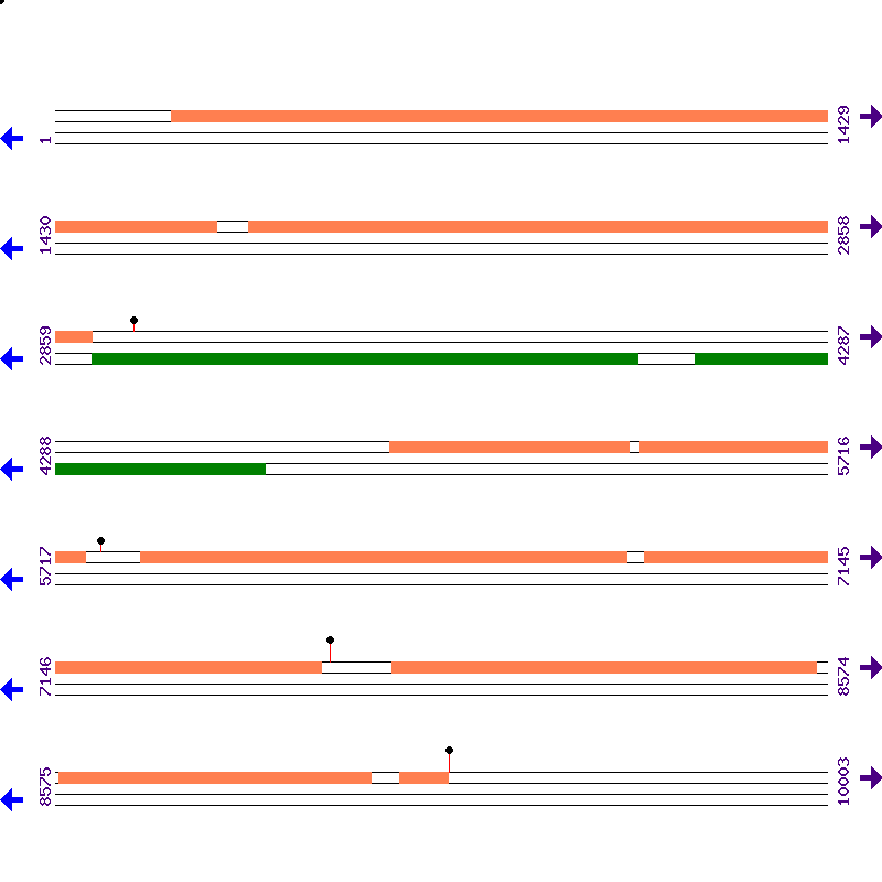 Genome View