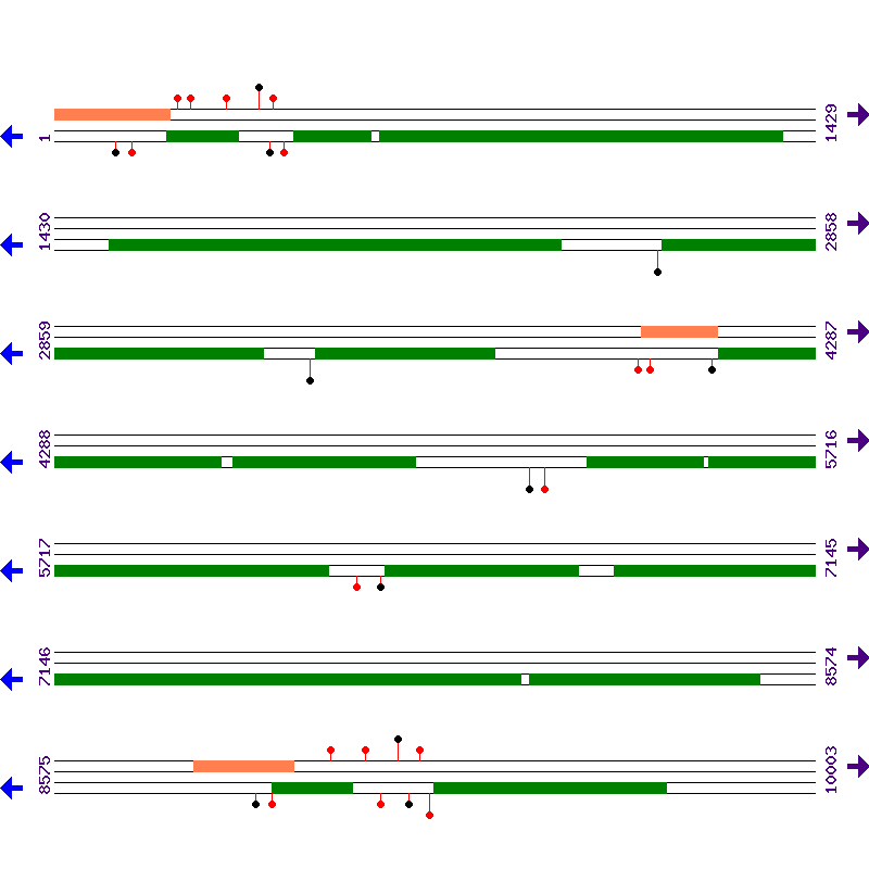 Genome View
