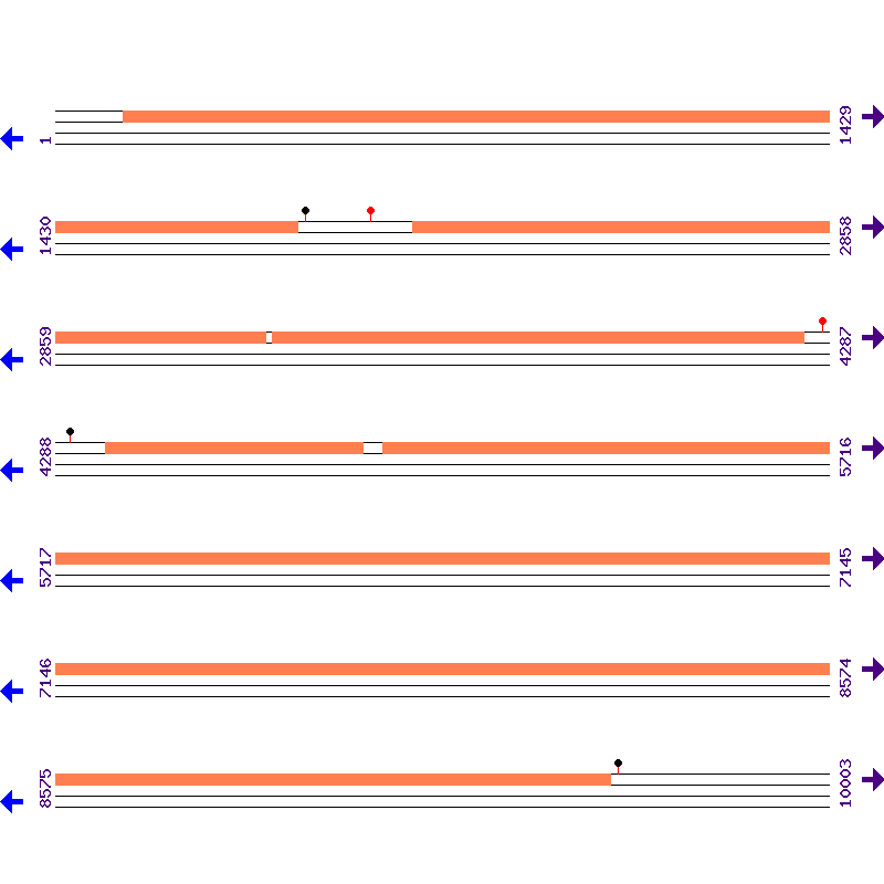 Genome View