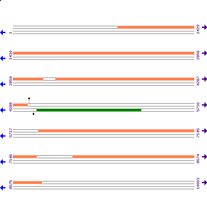 Genome View