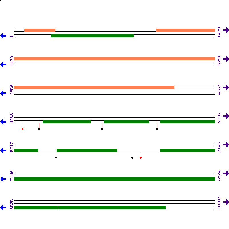 Genome View