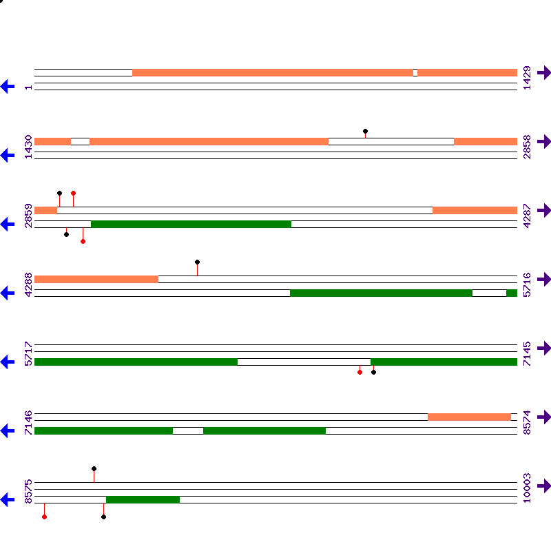 Genome View