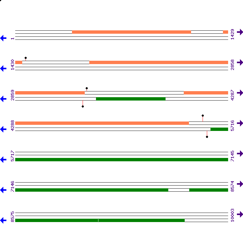 Genome View