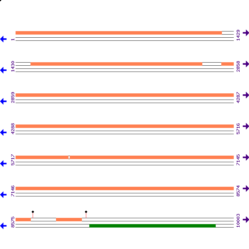 Genome View