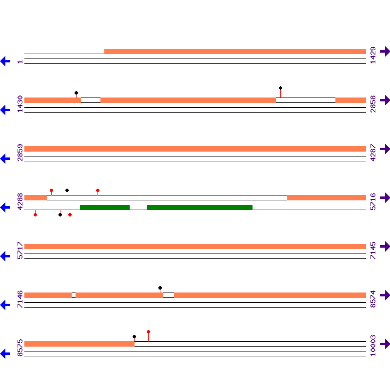 Genome View