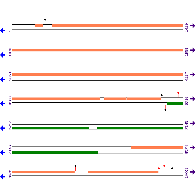 Genome View