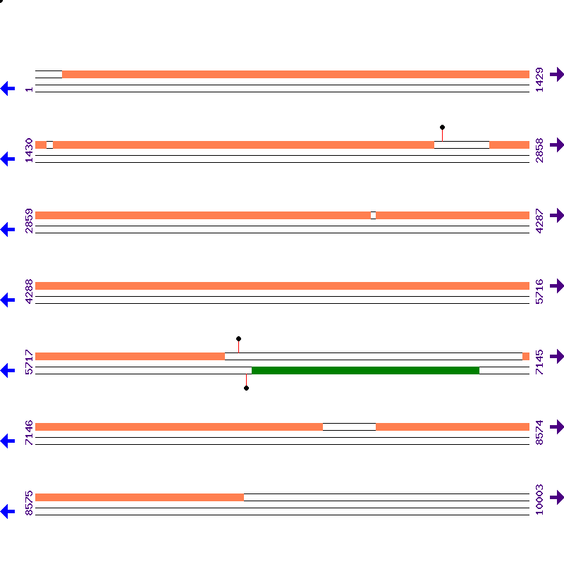 Genome View