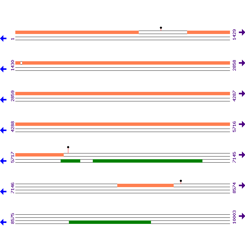 Genome View