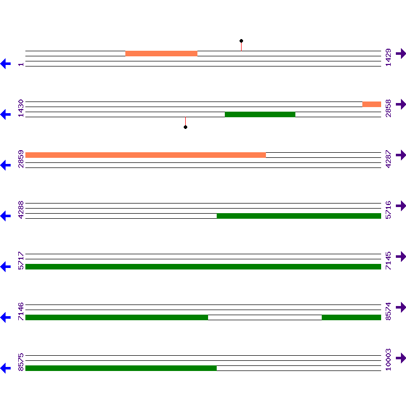 Genome View