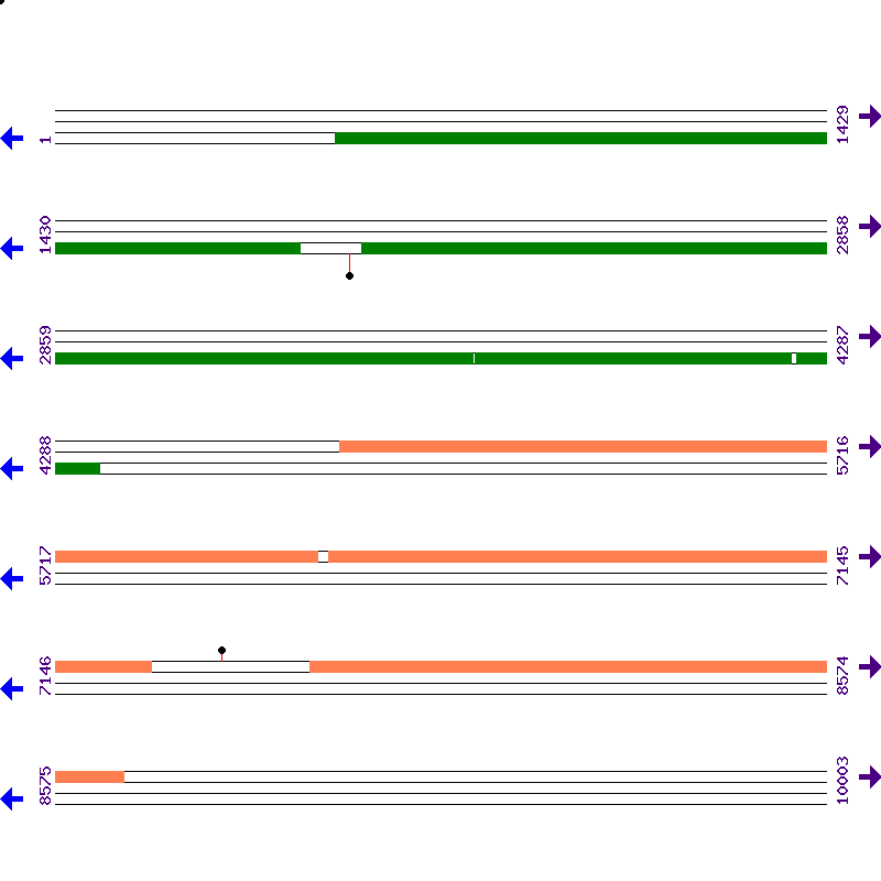 Genome View