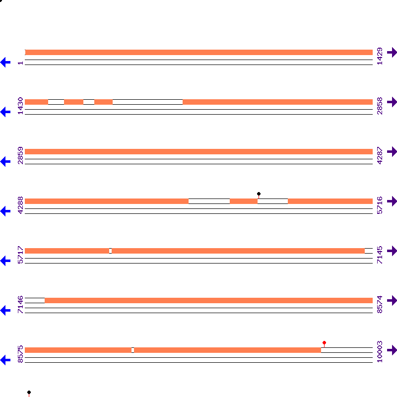 Genome View
