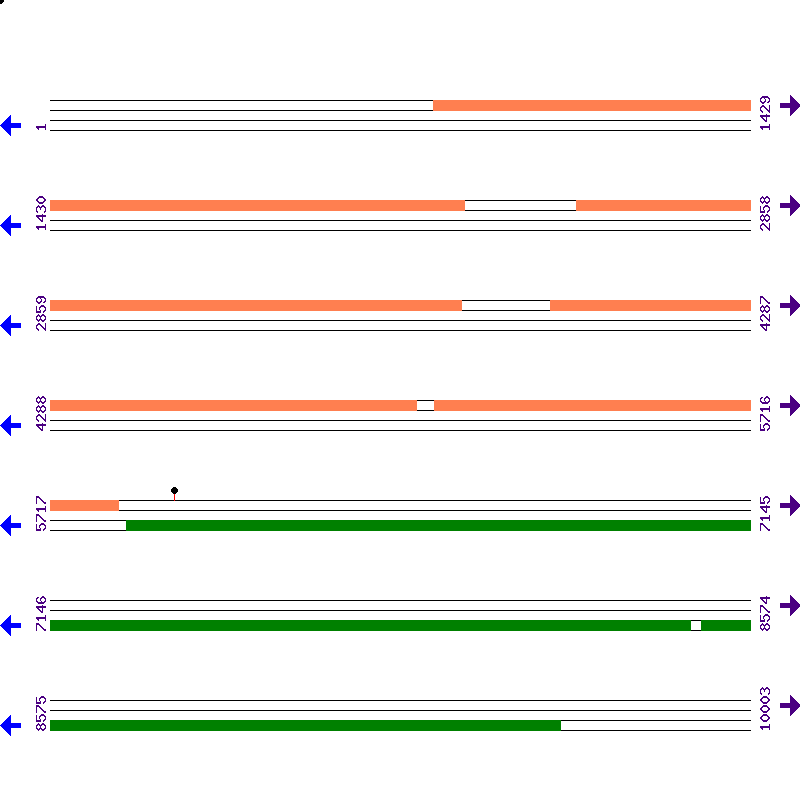 Genome View