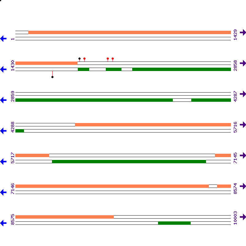 Genome View