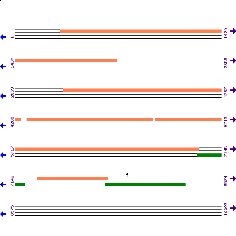 Genome View