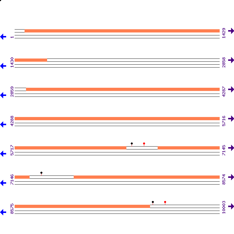 Genome View