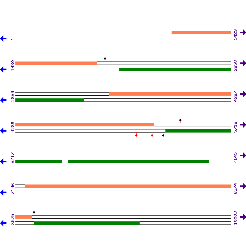 Genome View