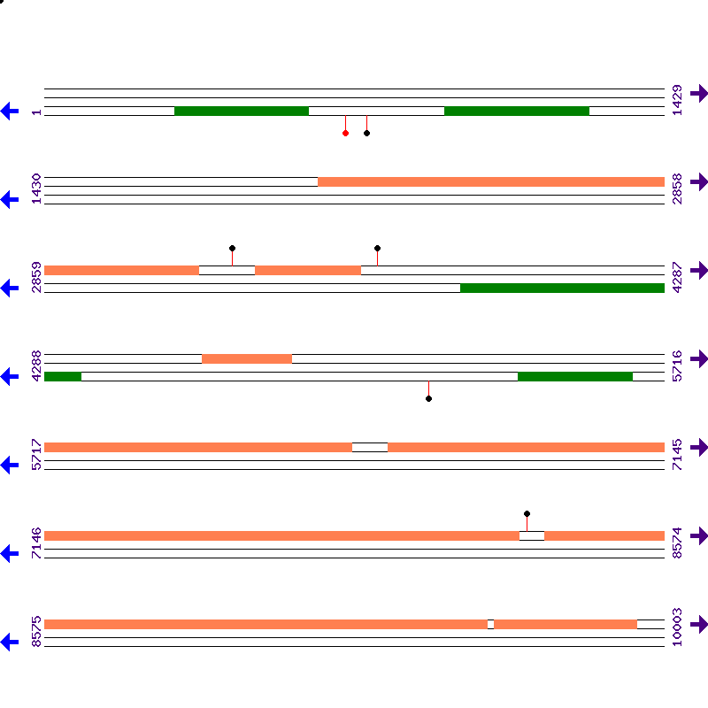 Genome View
