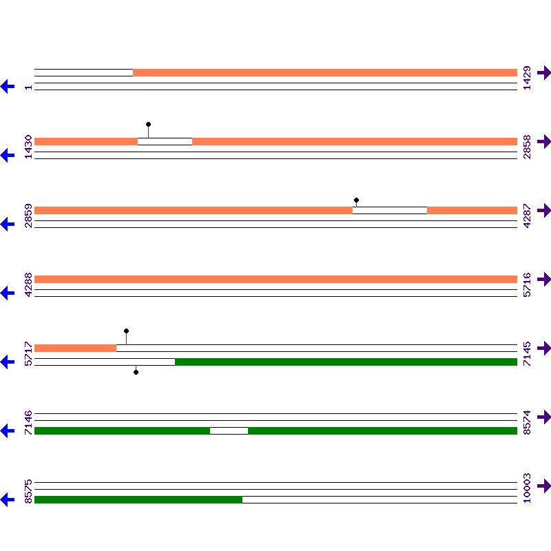 Genome View