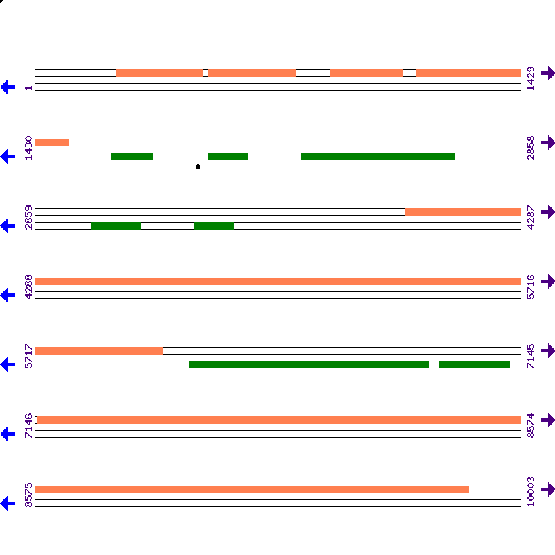 Genome View