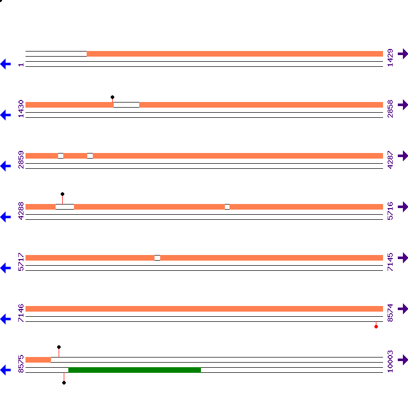 Genome View