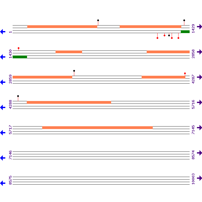 Genome View