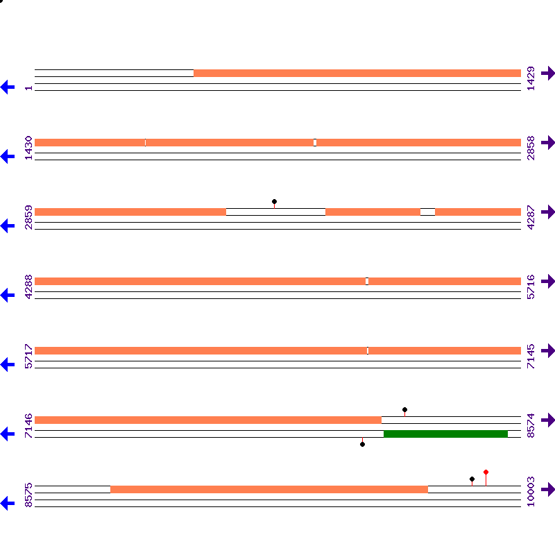 Genome View