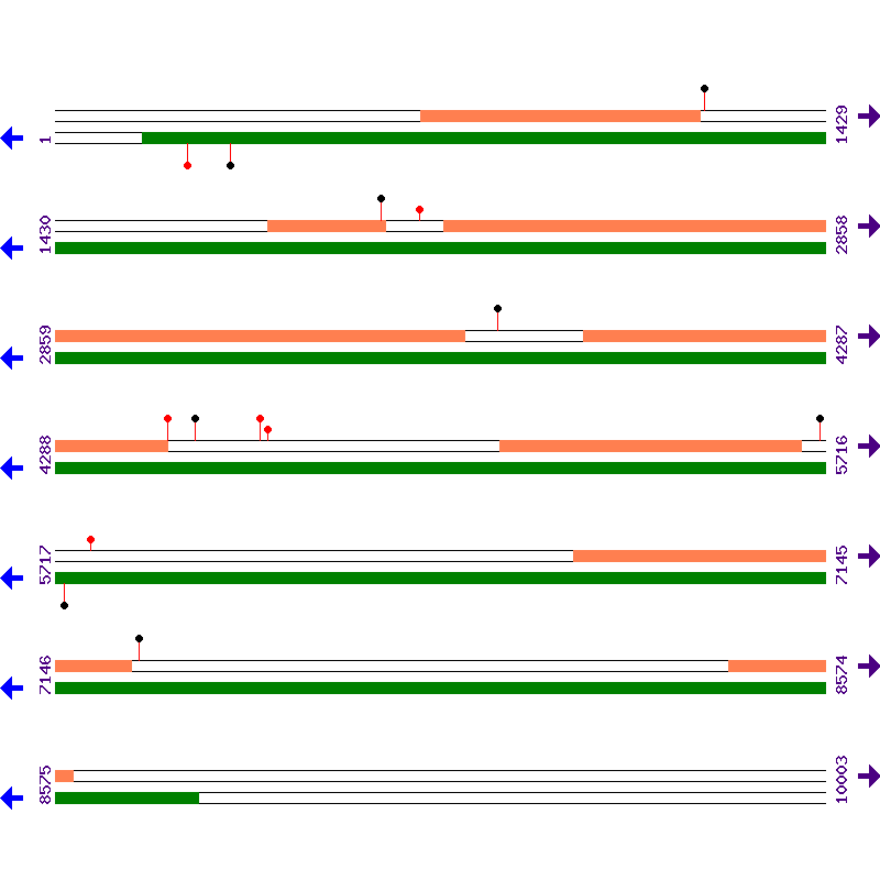 Genome View