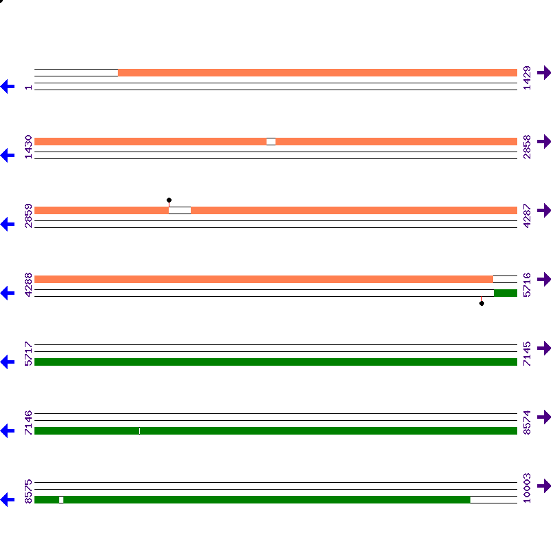 Genome View