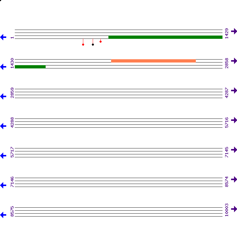 Genome View