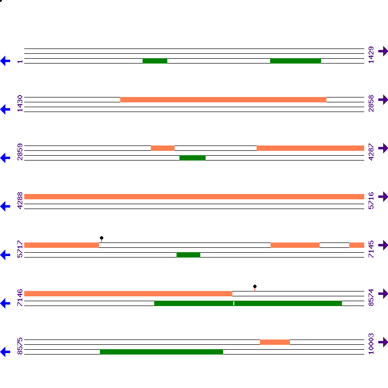 Genome View