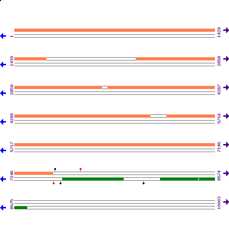 Genome View