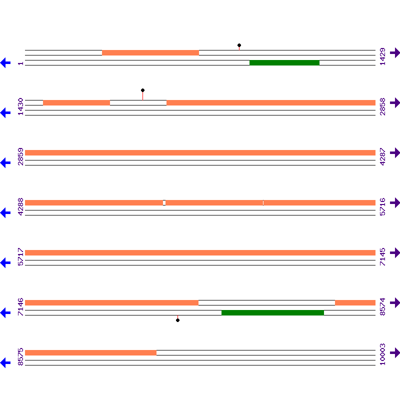 Genome View