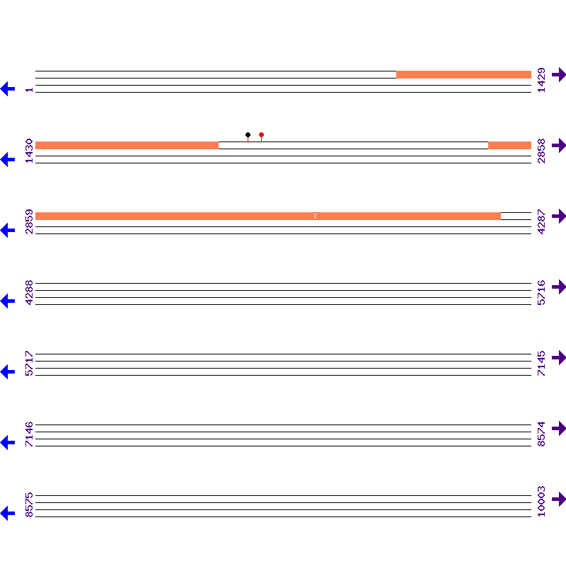 Genome View