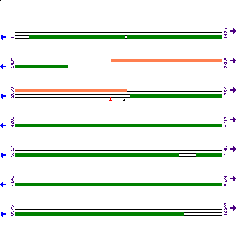 Genome View