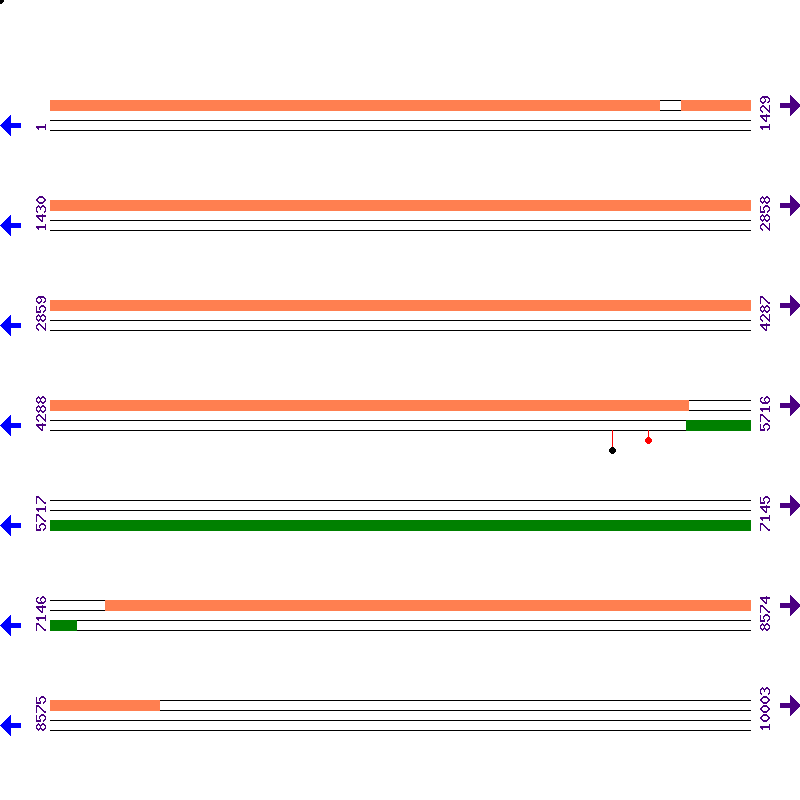 Genome View