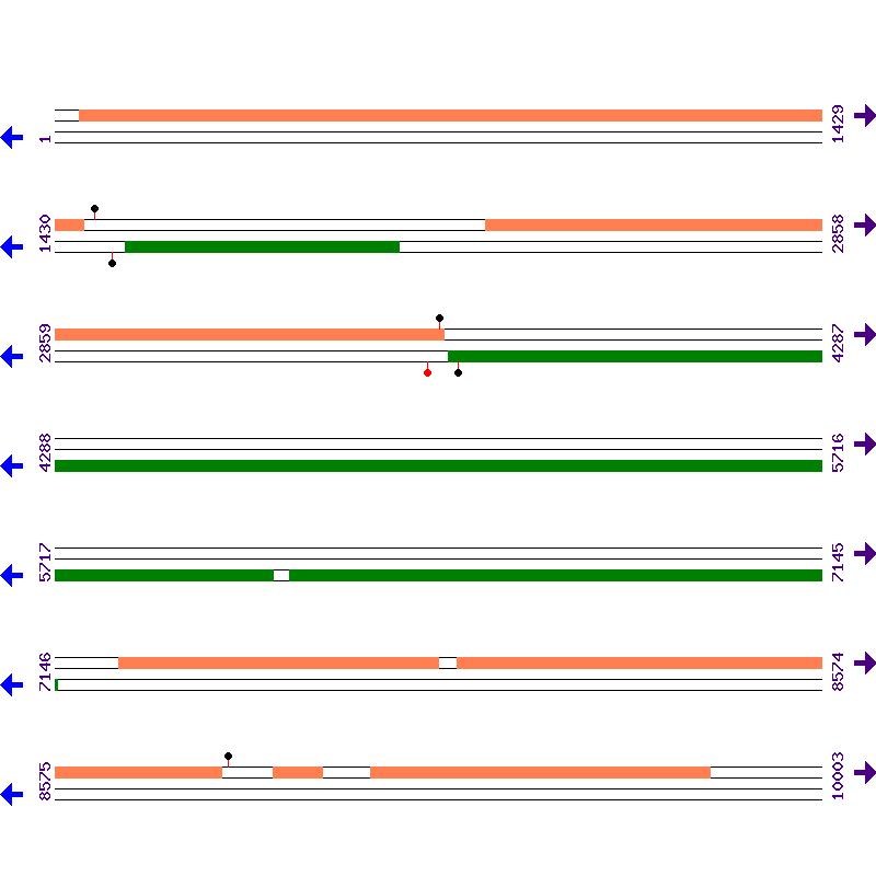 Genome View