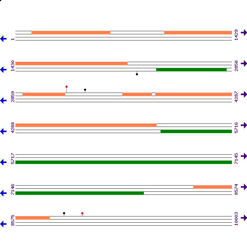 Genome View