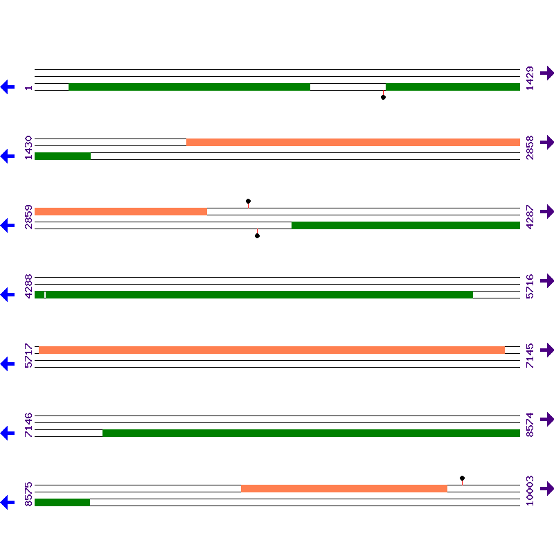 Genome View