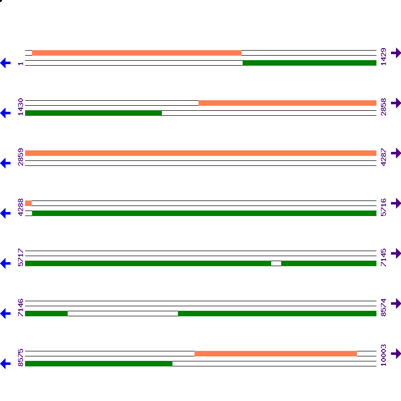 Genome View
