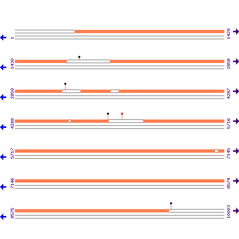 Genome View