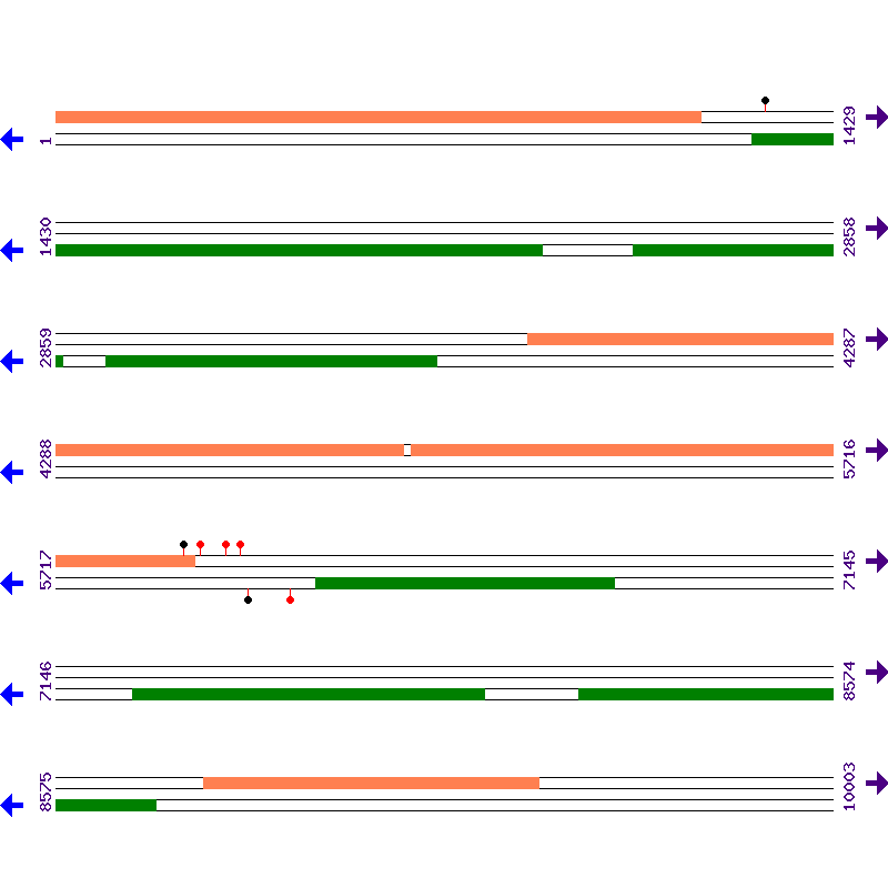 Genome View