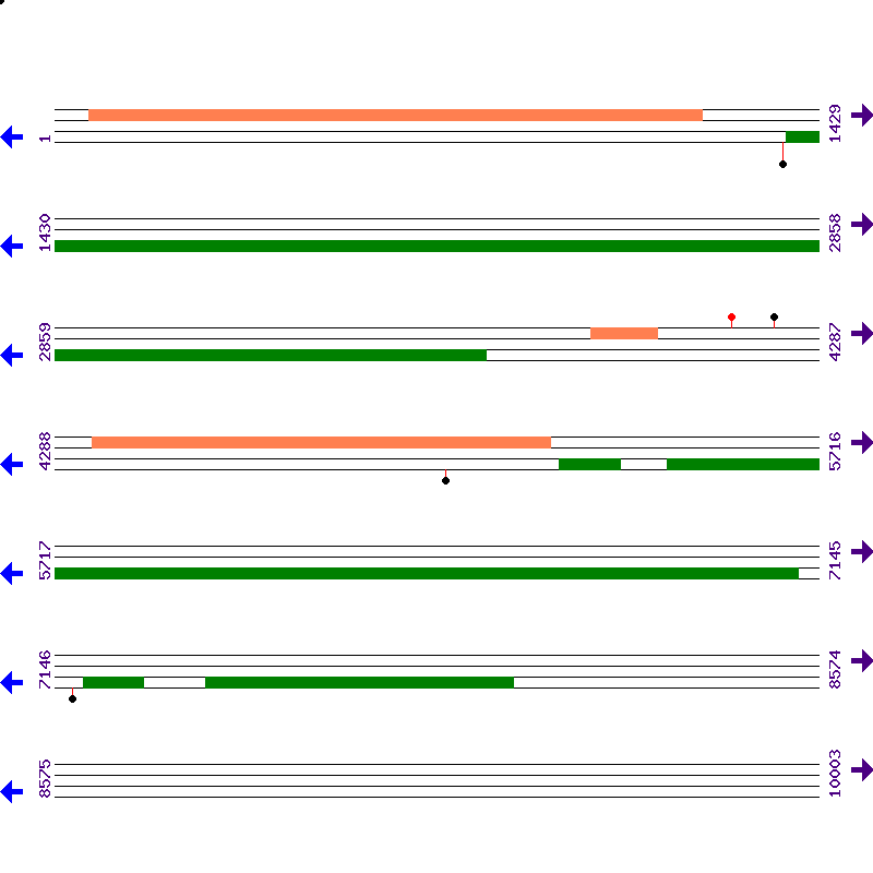 Genome View