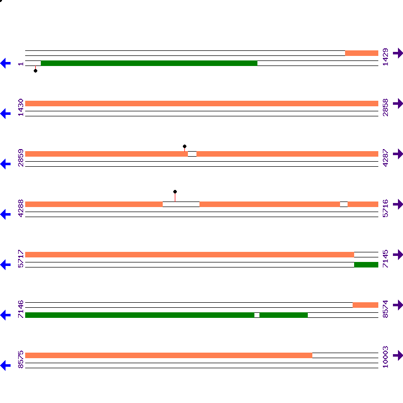 Genome View