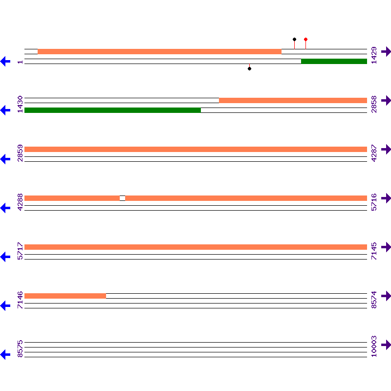 Genome View