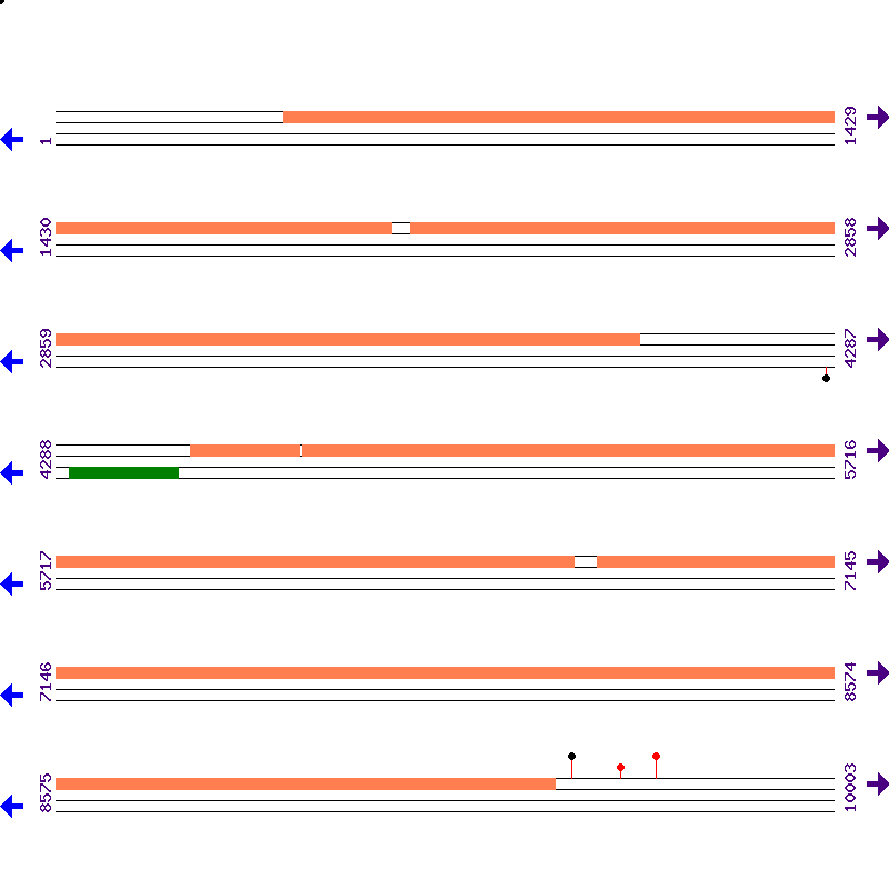 Genome View