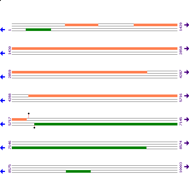 Genome View