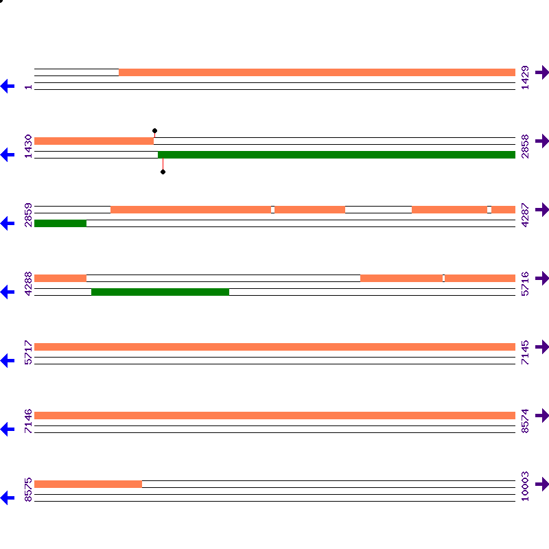 Genome View