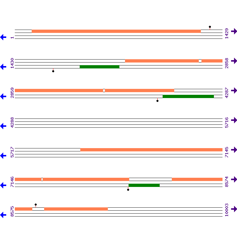 Genome View