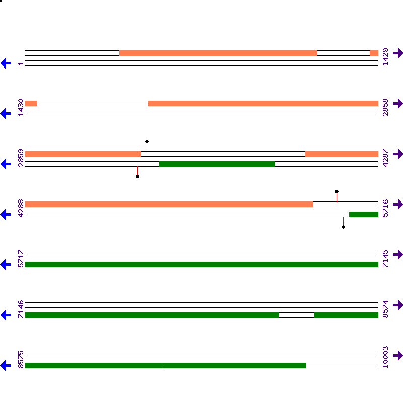 Genome View